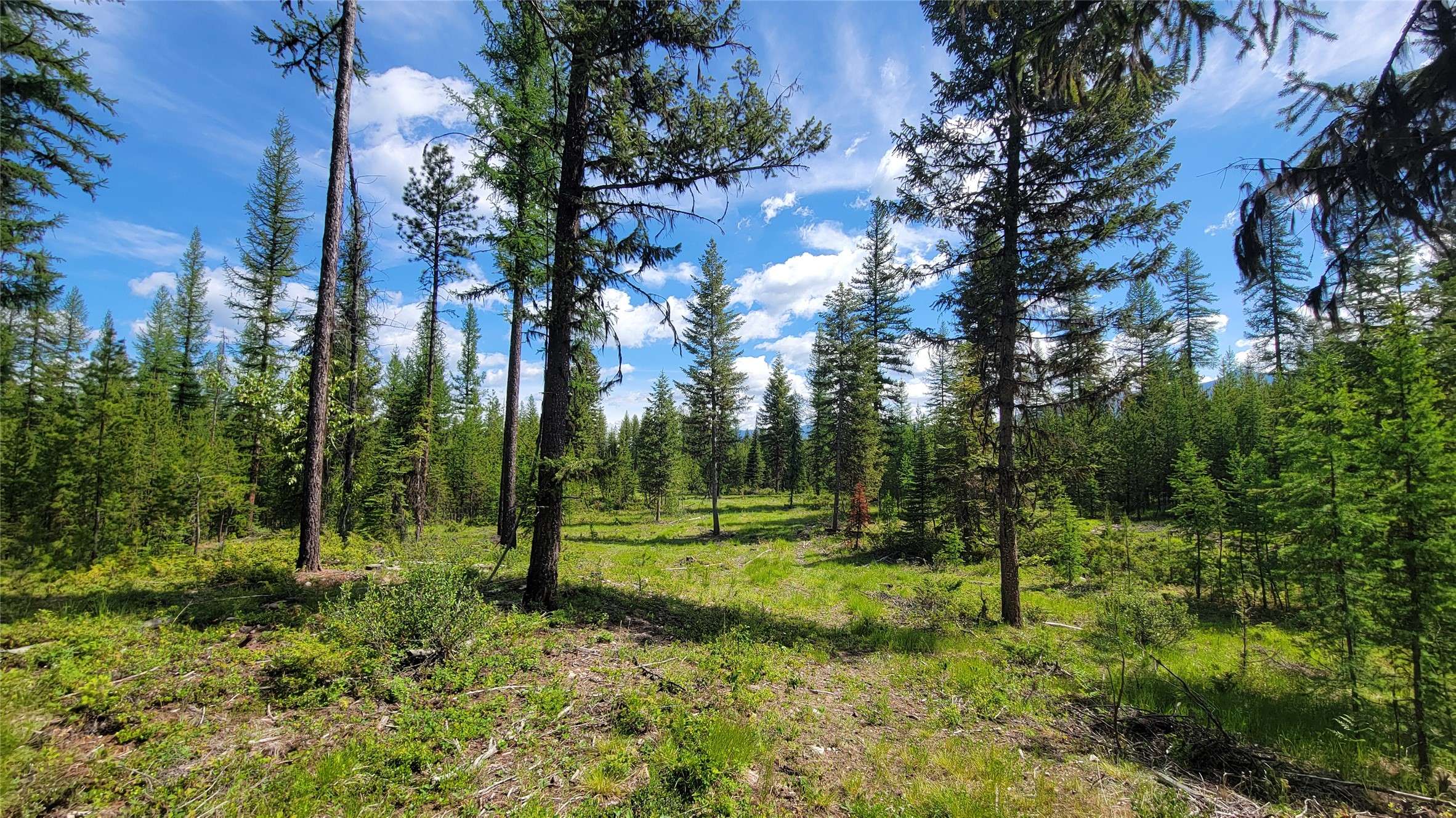 Bigfork, MT 59911,Nhn Shay Lake RD