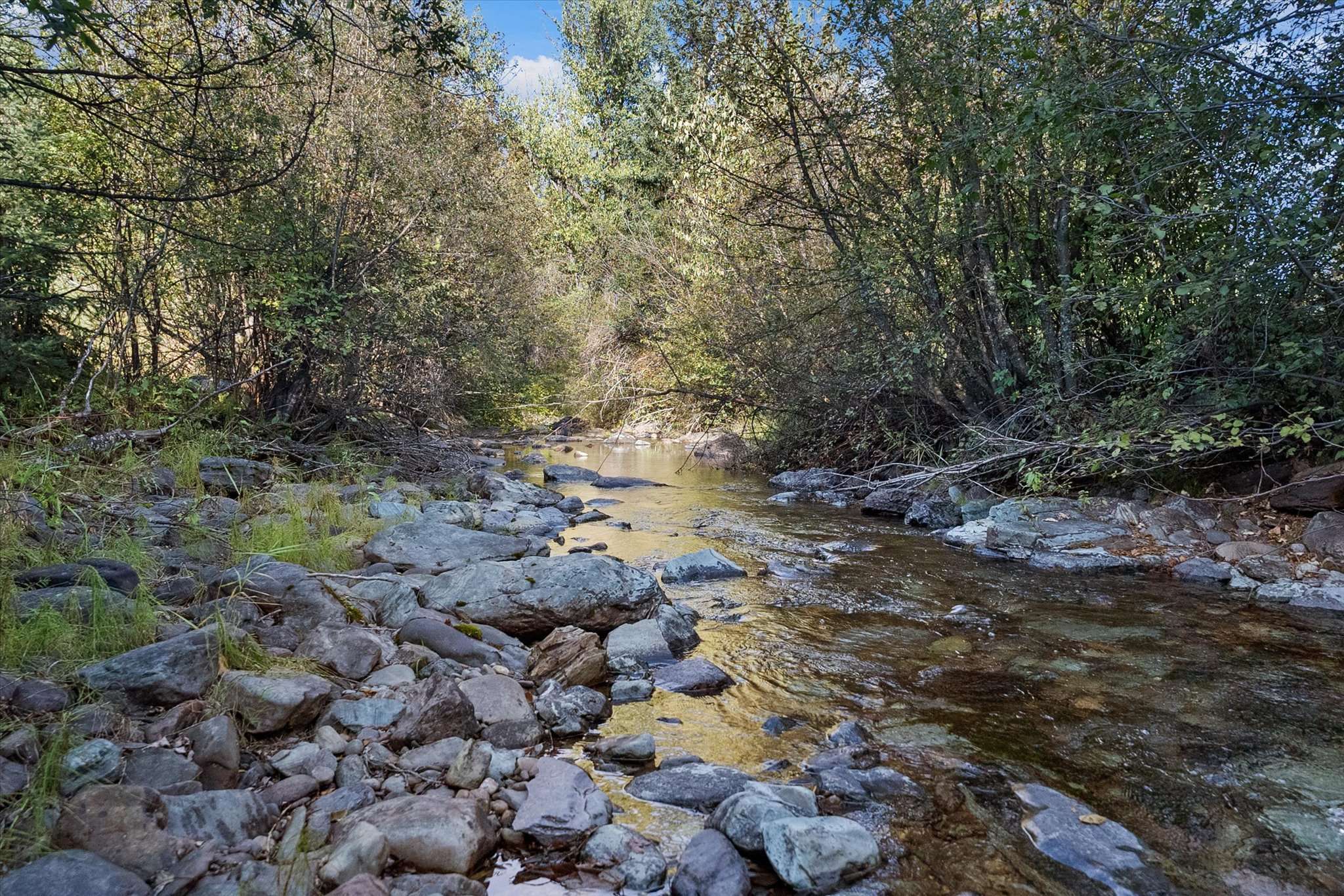 Rexford, MT 59930,198 Tamarack LN