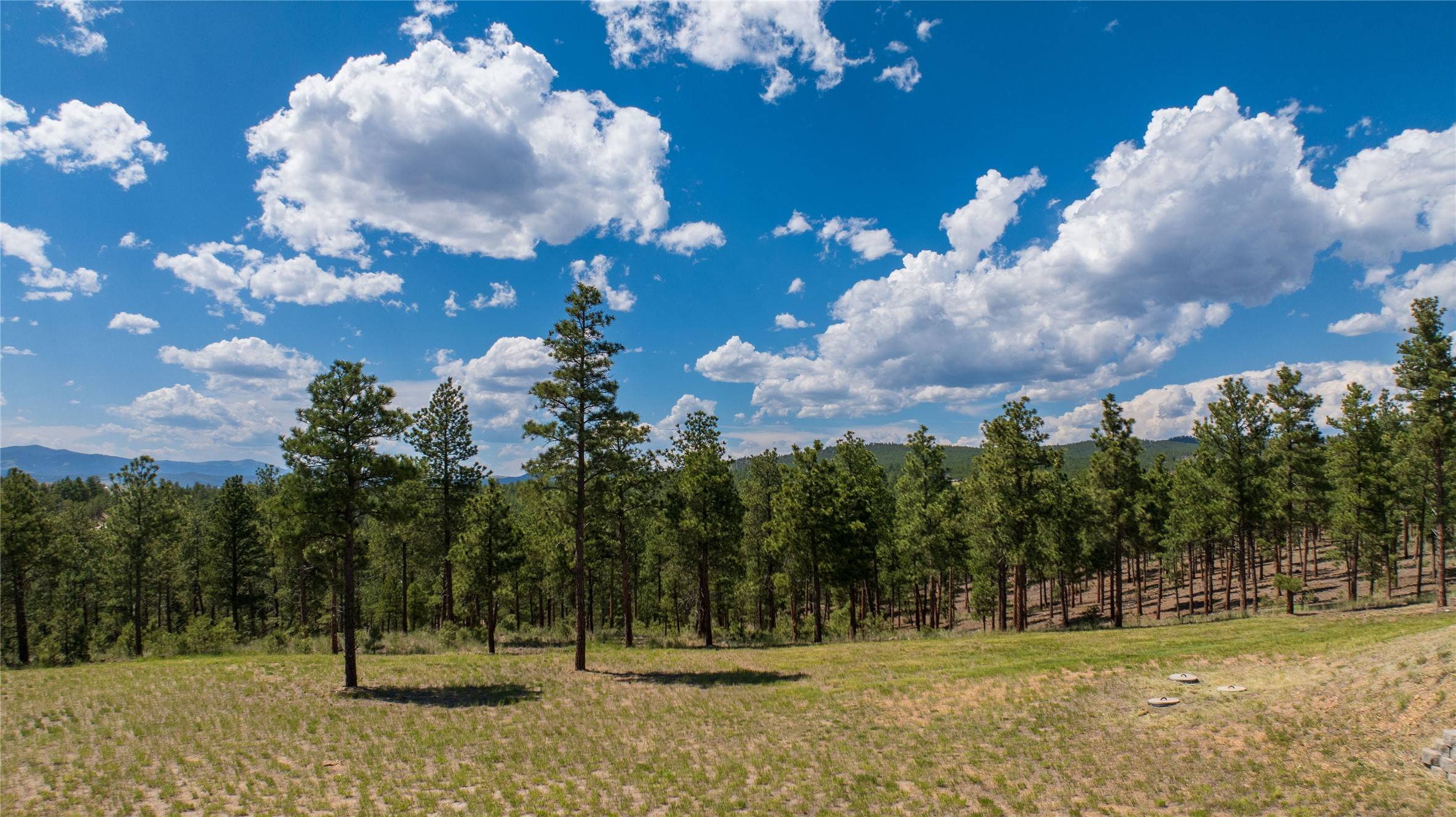 Helena, MT 59602,6520 Noble LN
