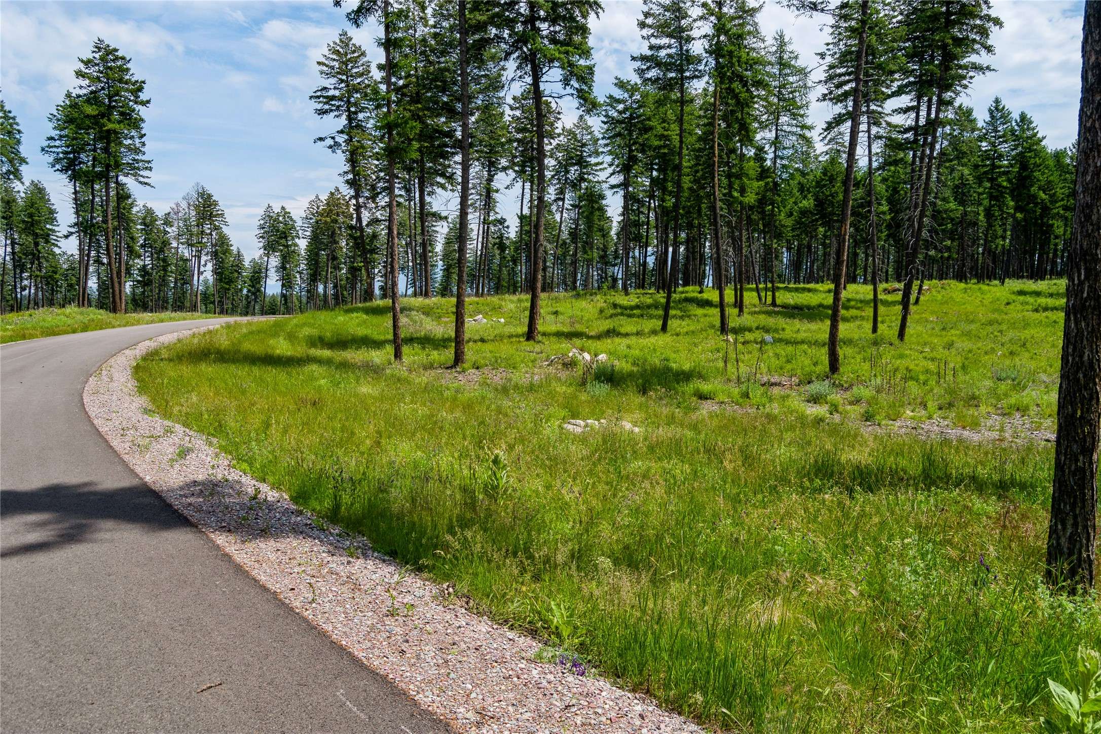 Whitefish, MT 59937,284 Layton RD