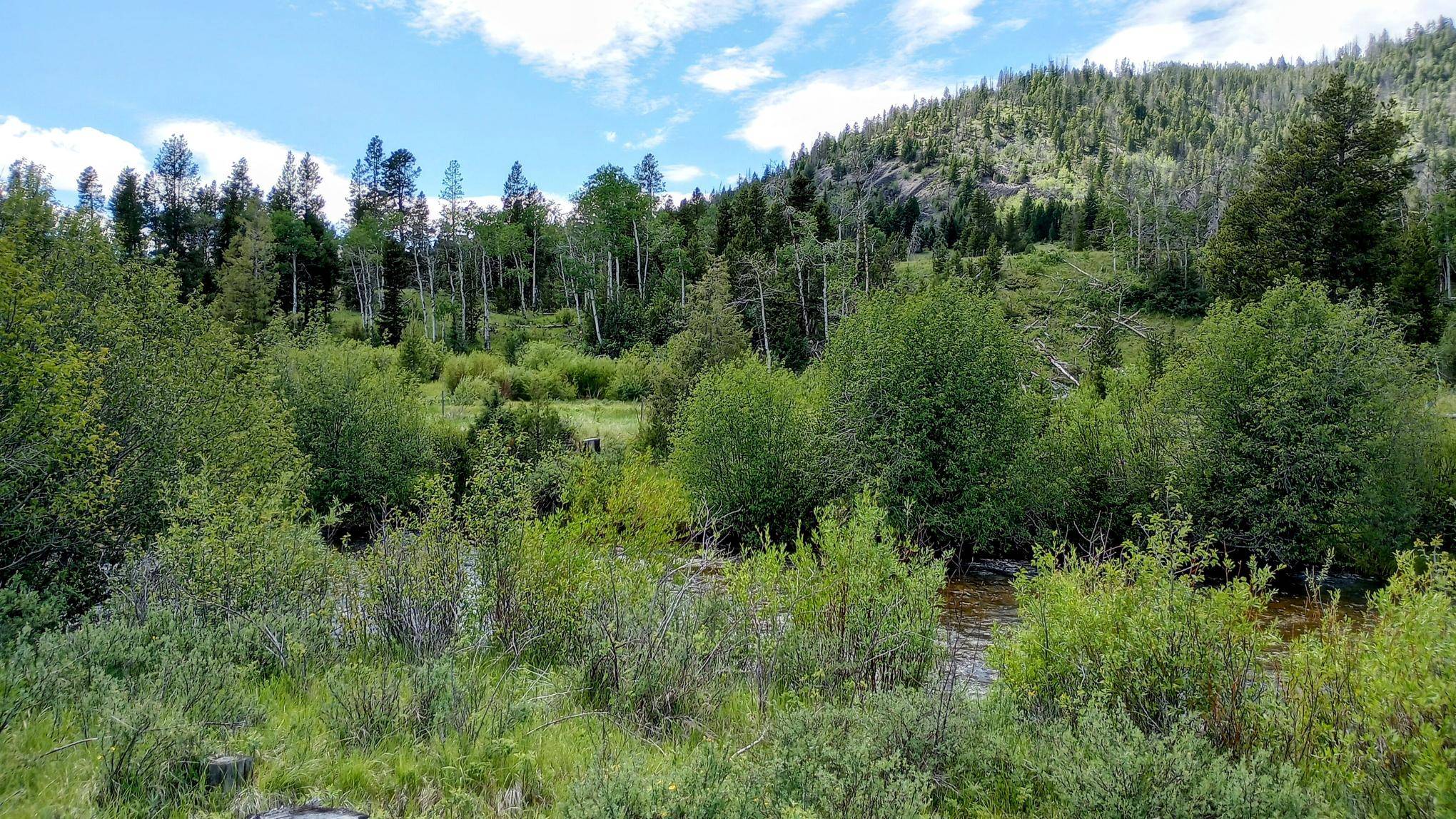 TBD Moose Lake RD #Lot 1, Philipsburg, MT 59858