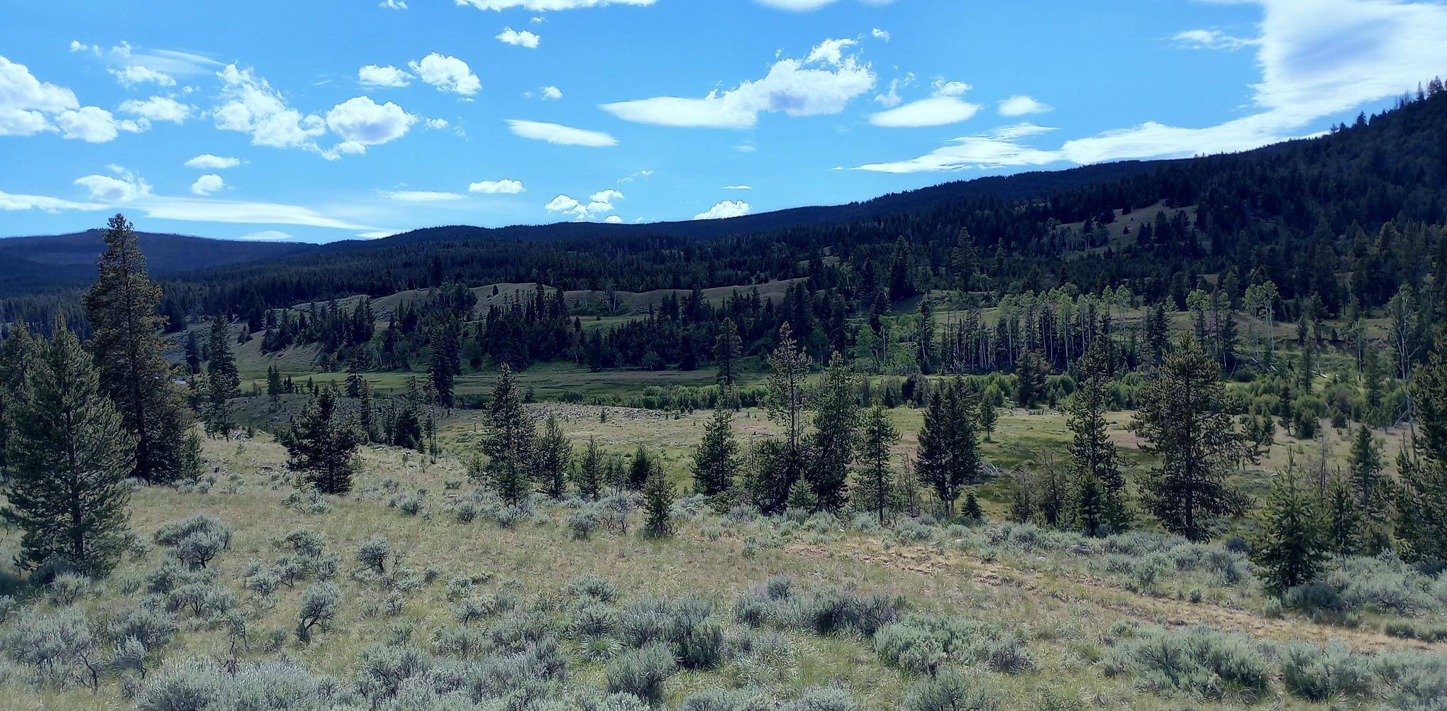 Philipsburg, MT 59858,TBD Moose Lake RD #Lot 1