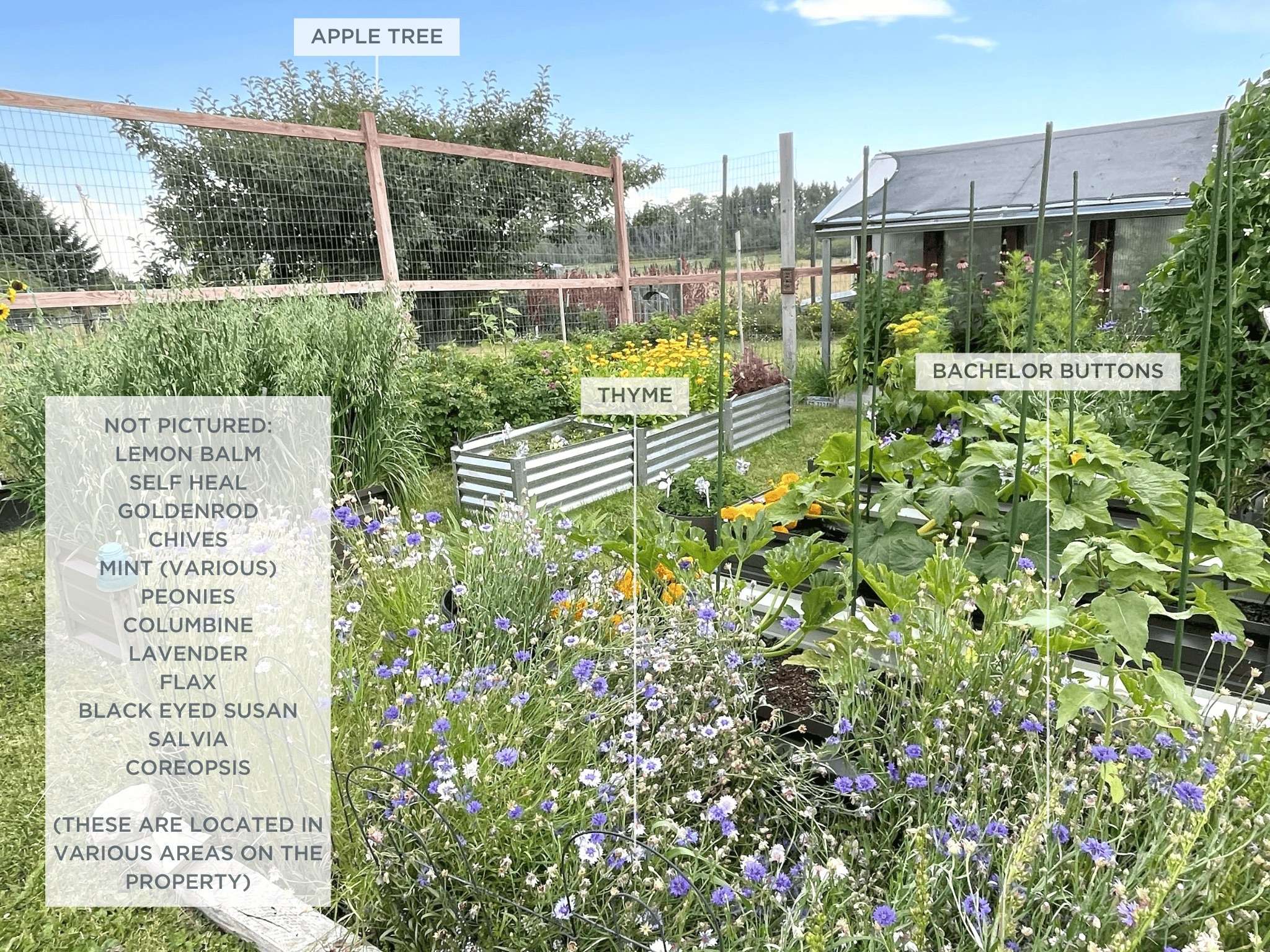 Bozeman, MT 59718,12977 Cottonwood RD