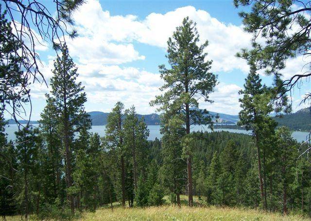 Rollins, MT 59931,20536 Wild Horse Ranch RD