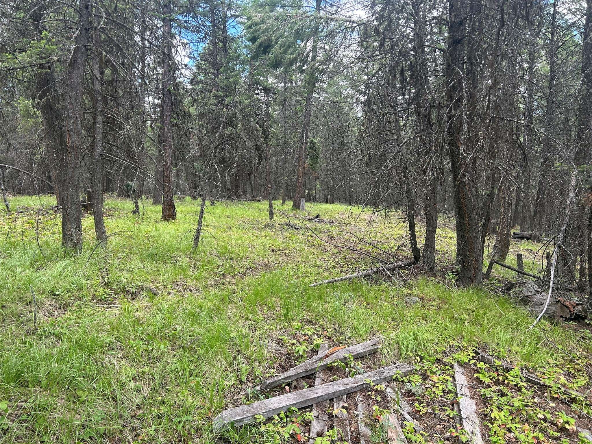 Eureka, MT 59917,NHN Frank Lake RD