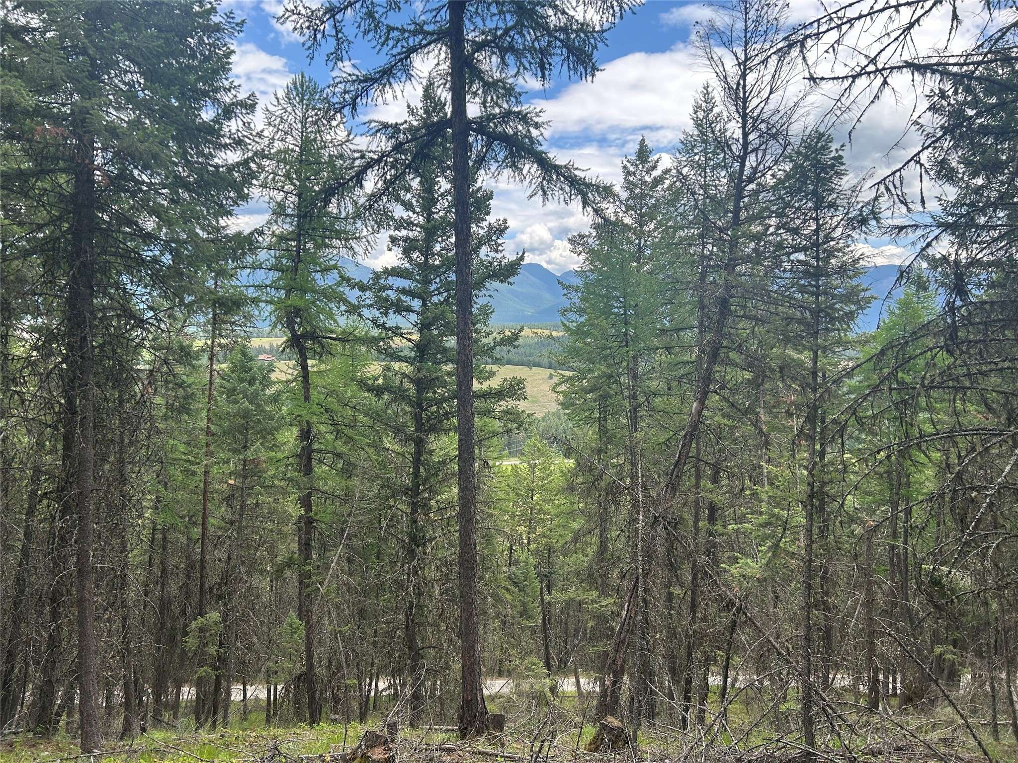 NHN Frank Lake RD, Eureka, MT 59917
