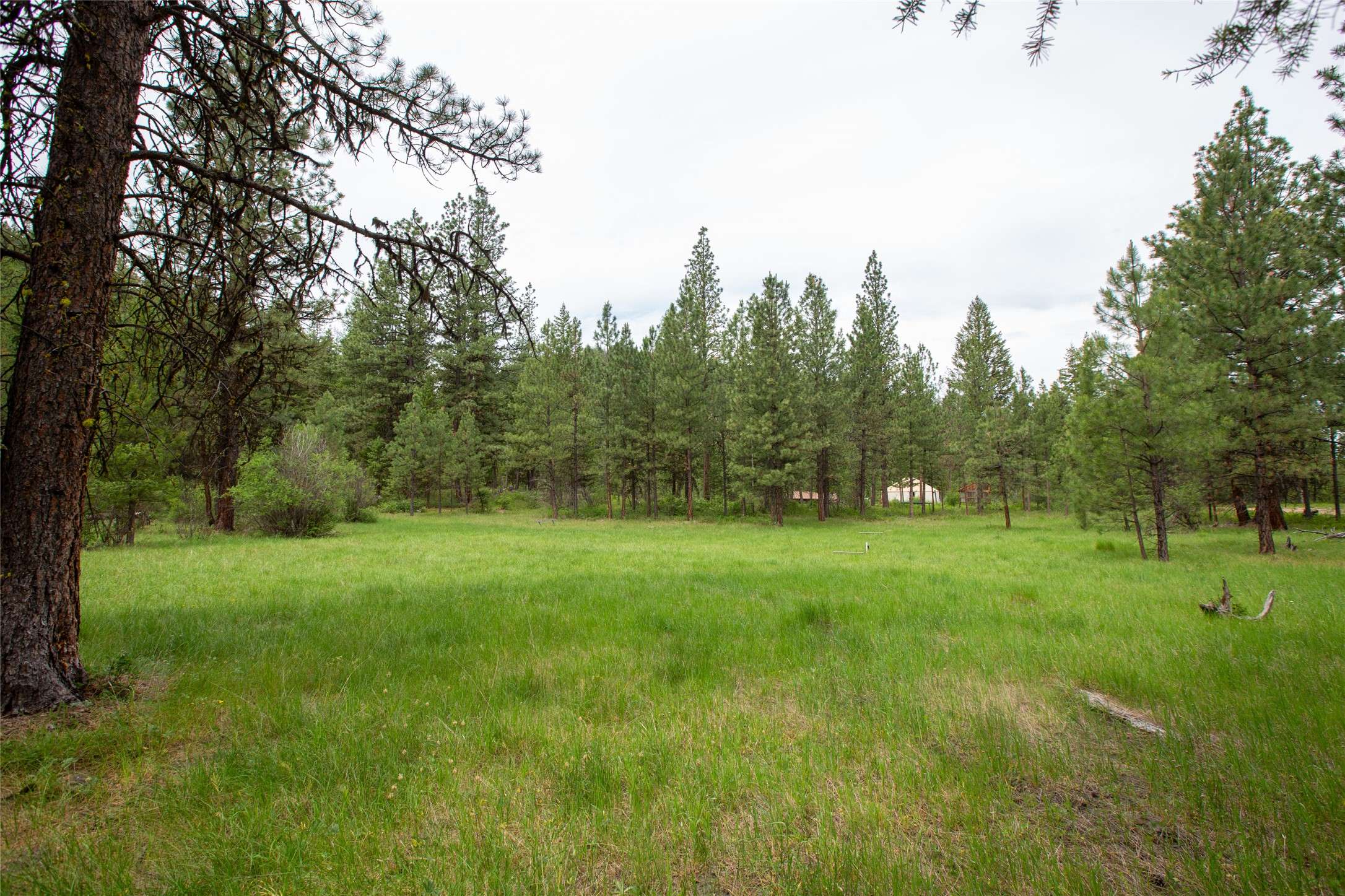 Bonner, MT 59823,110 and 160 Waylon WAY