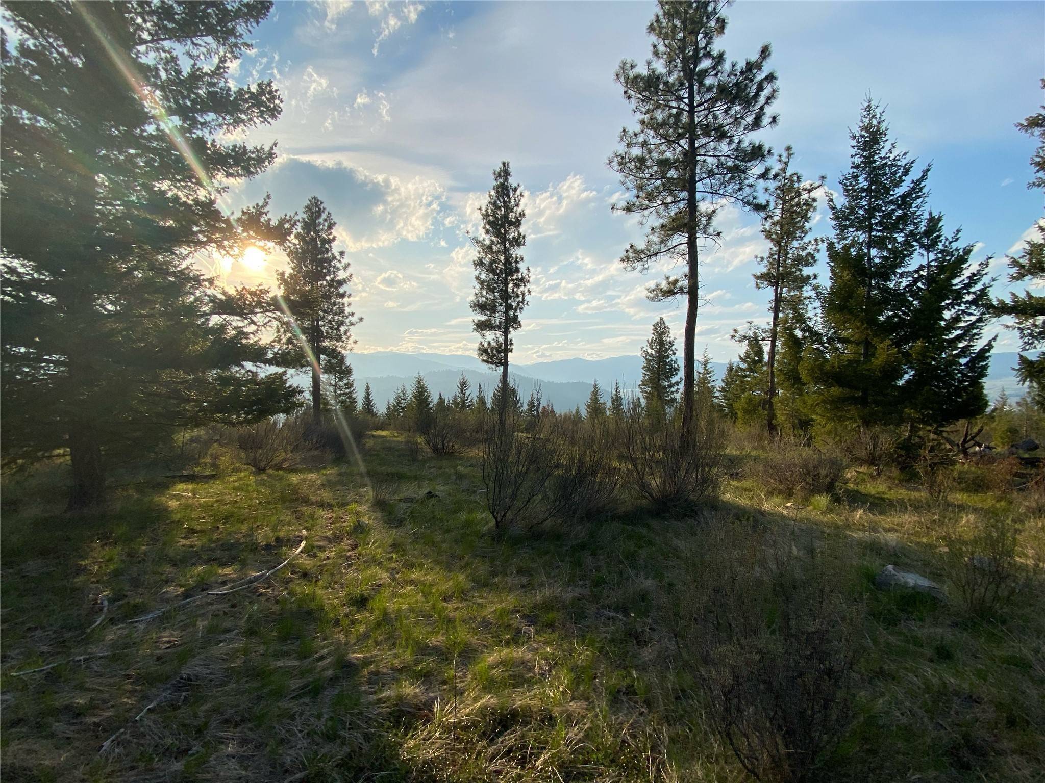 Plains, MT 59859,Lot 8 Bighorn Bluff RD