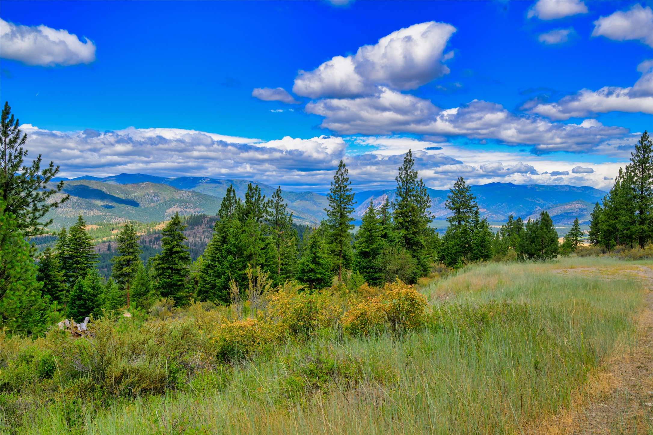 Lot 6 Bighorn Bluff RD, Plains, MT 59859