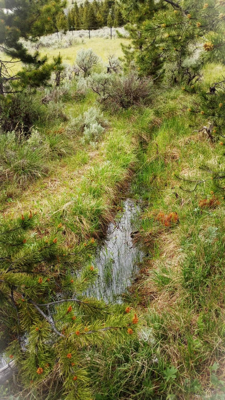 Philipsburg, MT 59858,NHN Moose Lake RD #Lot 2