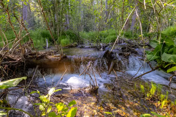 Columbia Falls, MT 59912,NHN Trumble Canyon RD