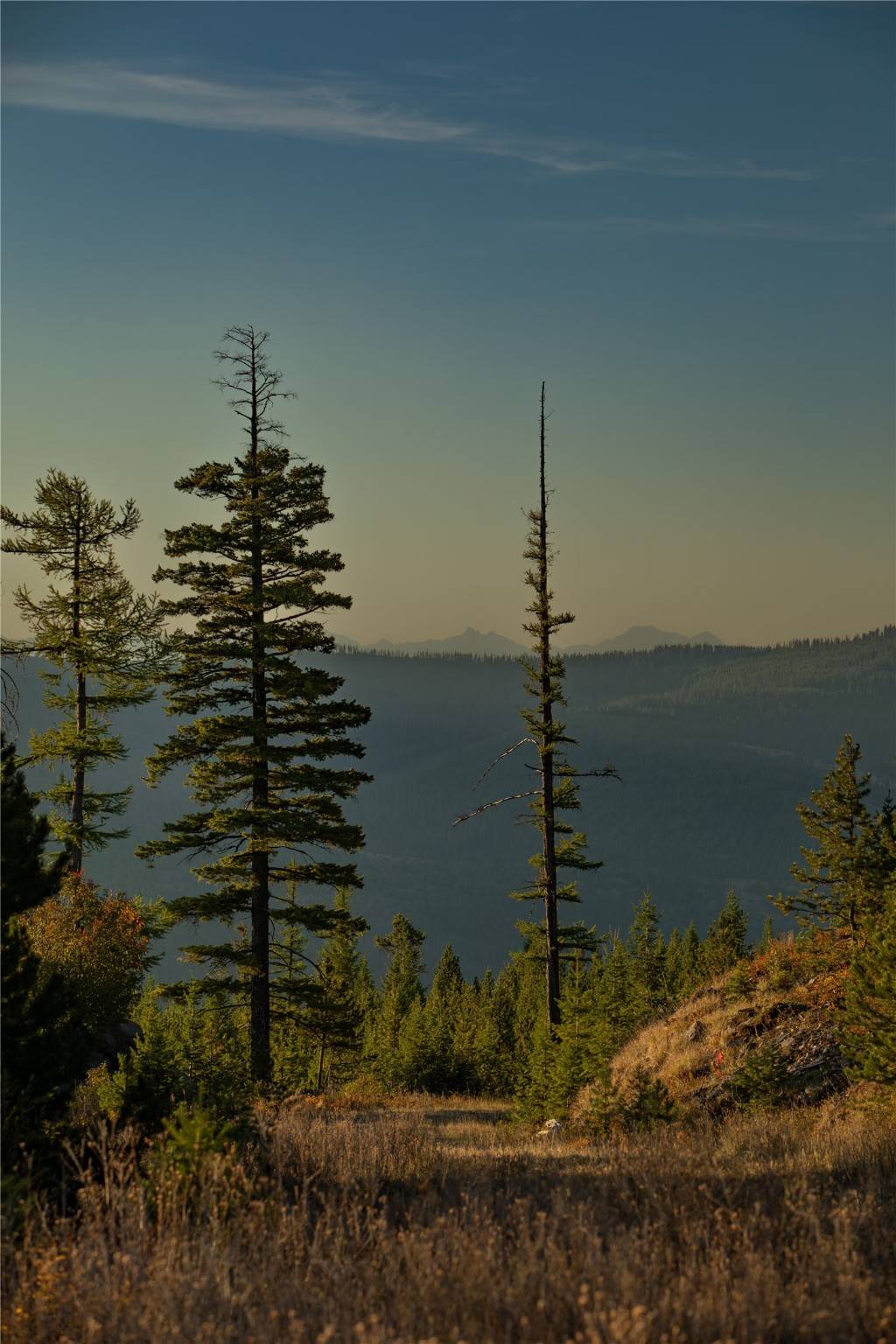 Kila, MT 59920,NHN Haskill Mountain Ranch RD