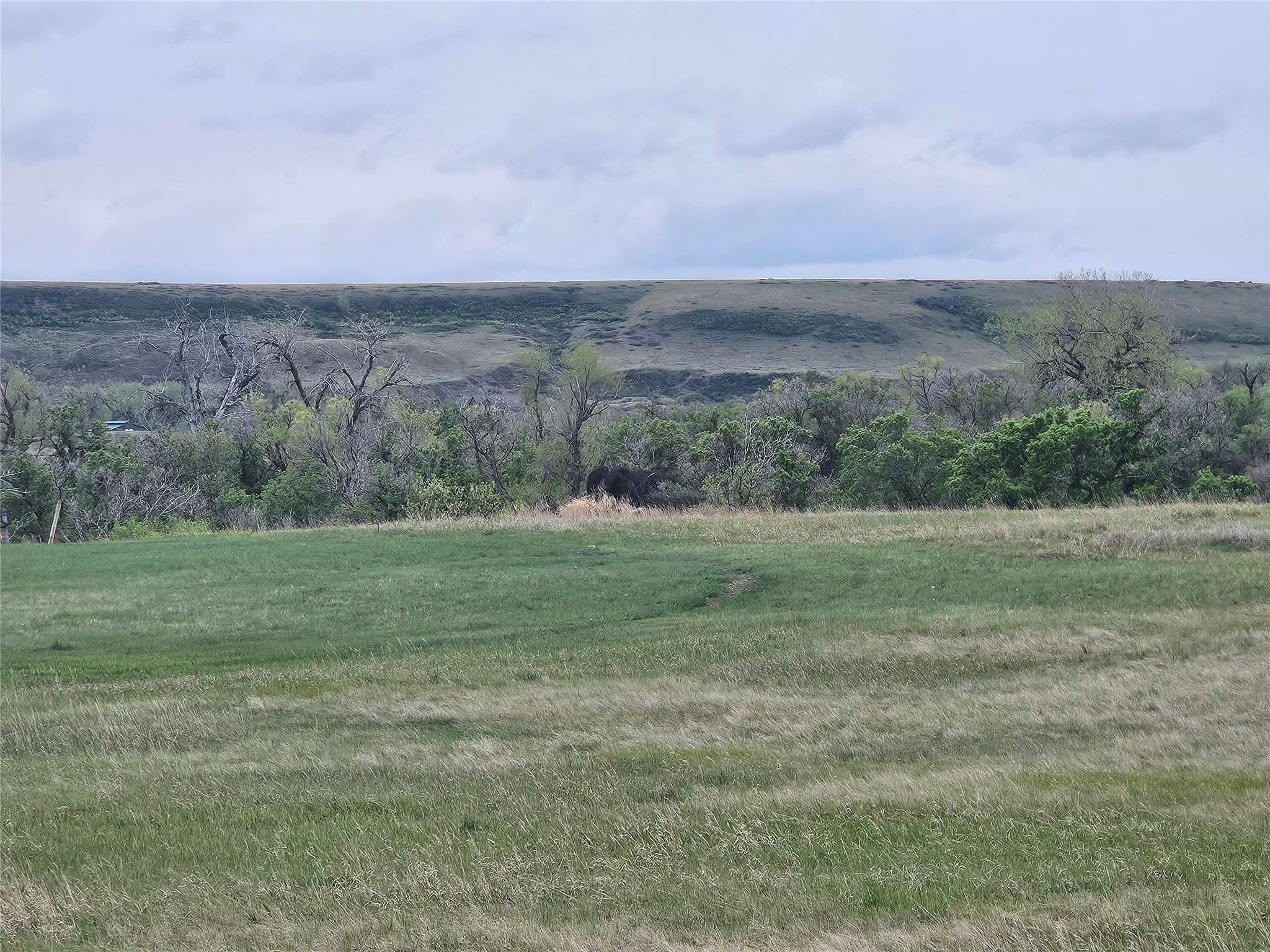 Lot 3 Hamilton PL, Great Falls, MT 59404