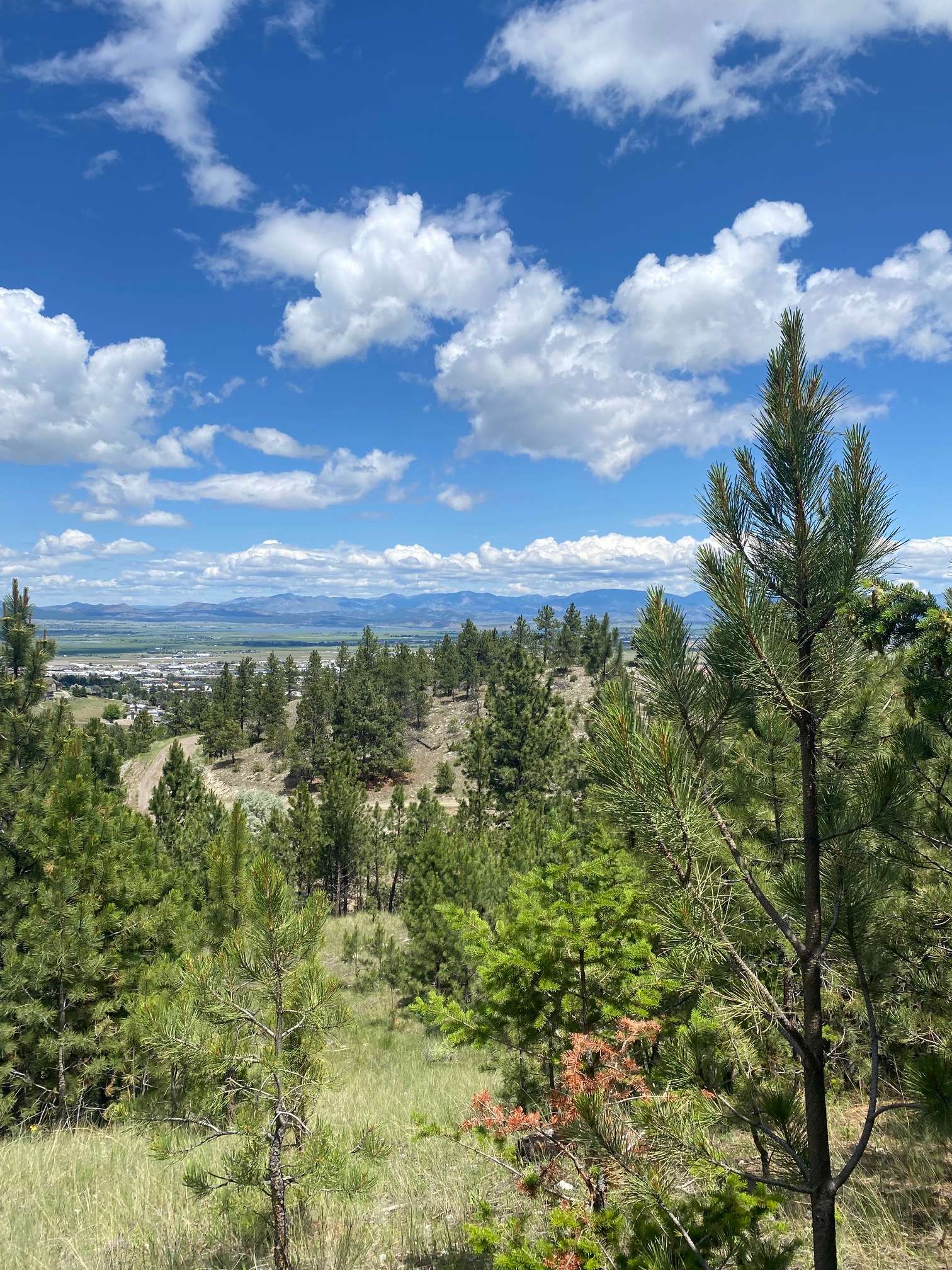 Helena, MT 59601,1242 Winscott LN
