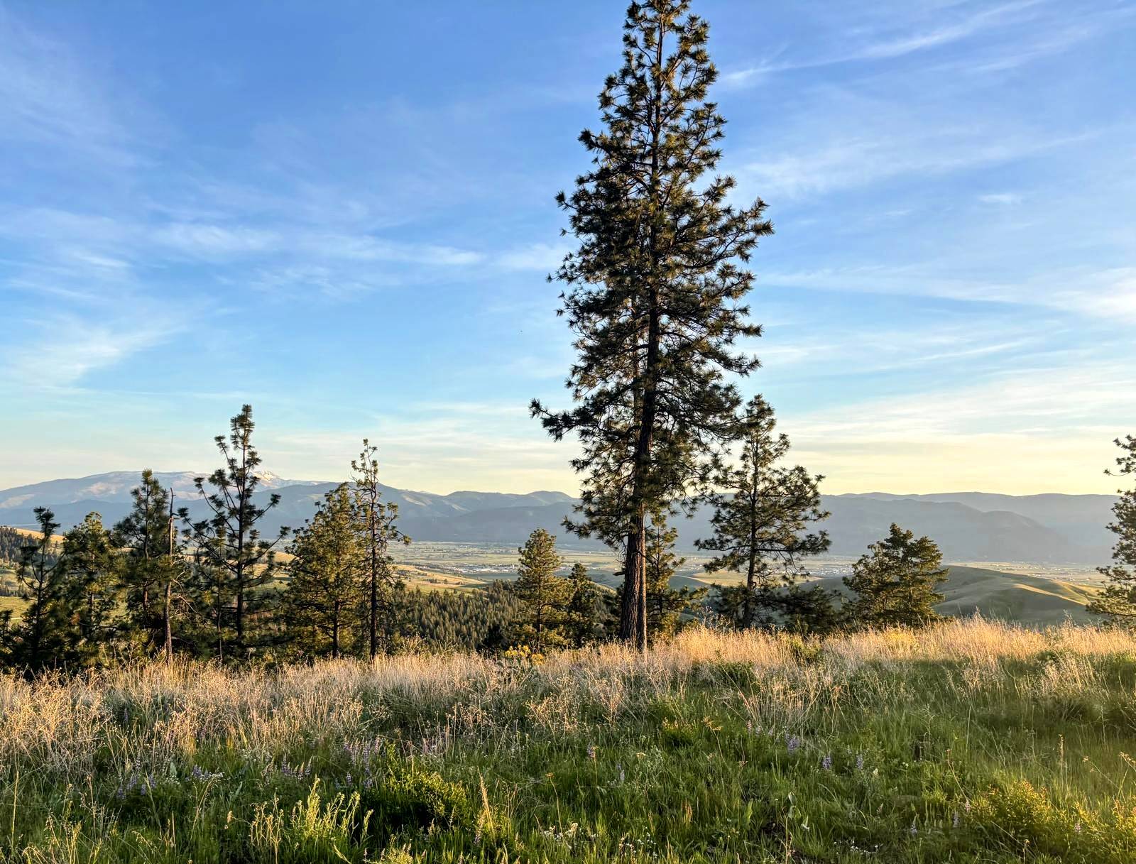 Missoula, MT 59808,3485 Ridge View RD