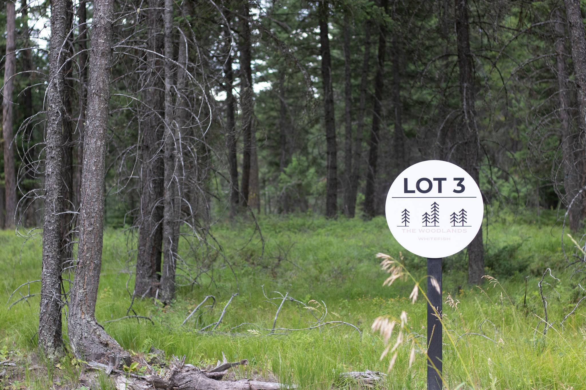 Whitefish, MT 59937,316 Sandalwood LN #Lot 3