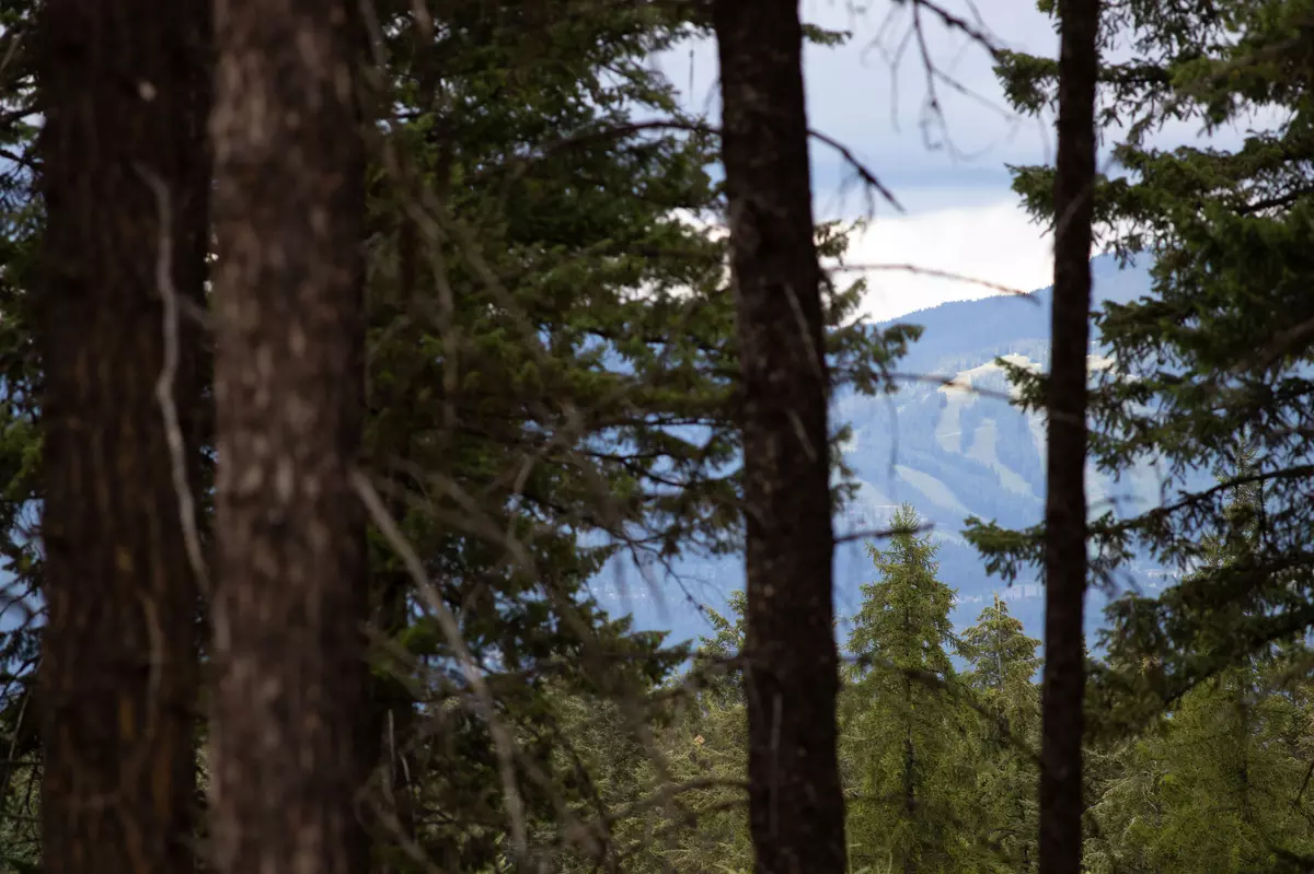 Whitefish, MT 59937,149 Rosewood LN #Lot 8