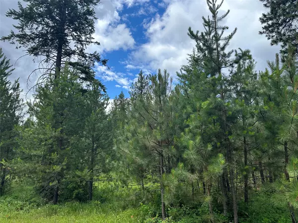 Trout Creek, MT 59874,NHN Sapphire LN #Lot 13