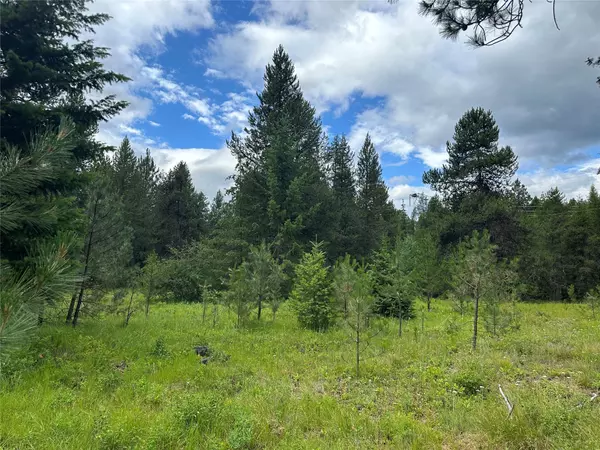 Trout Creek, MT 59874,NHN Sapphire LN #Lot 13