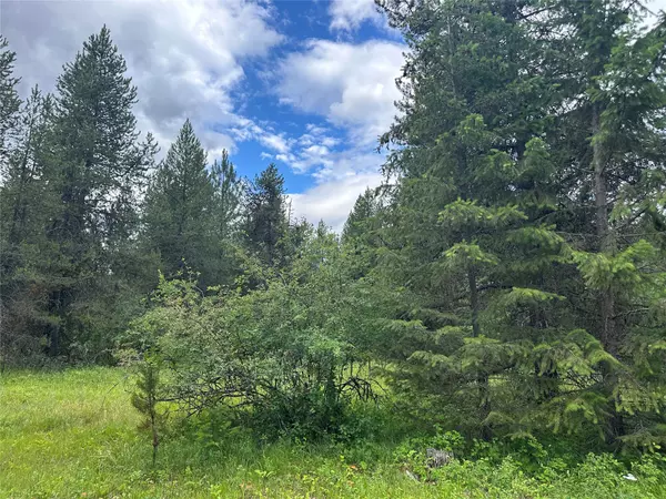 Trout Creek, MT 59874,NHN Sapphire LN #Lot 13