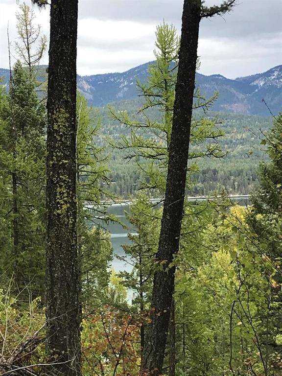 Whitefish, MT 59937,1335 Lion Mountain DR