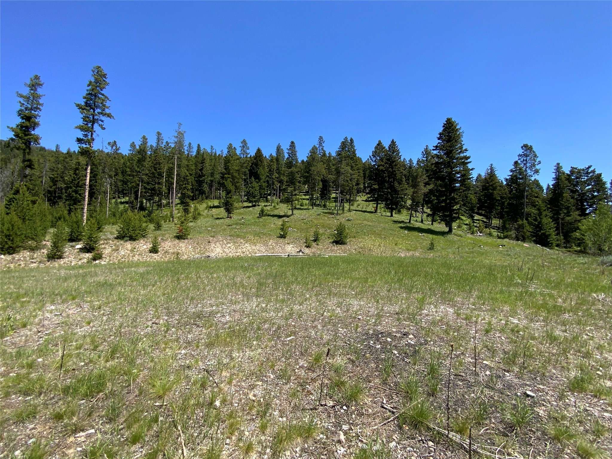 TBD Lagger Gulch RD, Anaconda, MT 59711