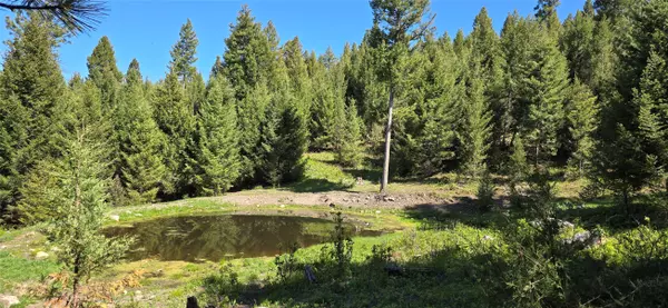 4 Tract, Bull Elk, Drummond, MT 59832