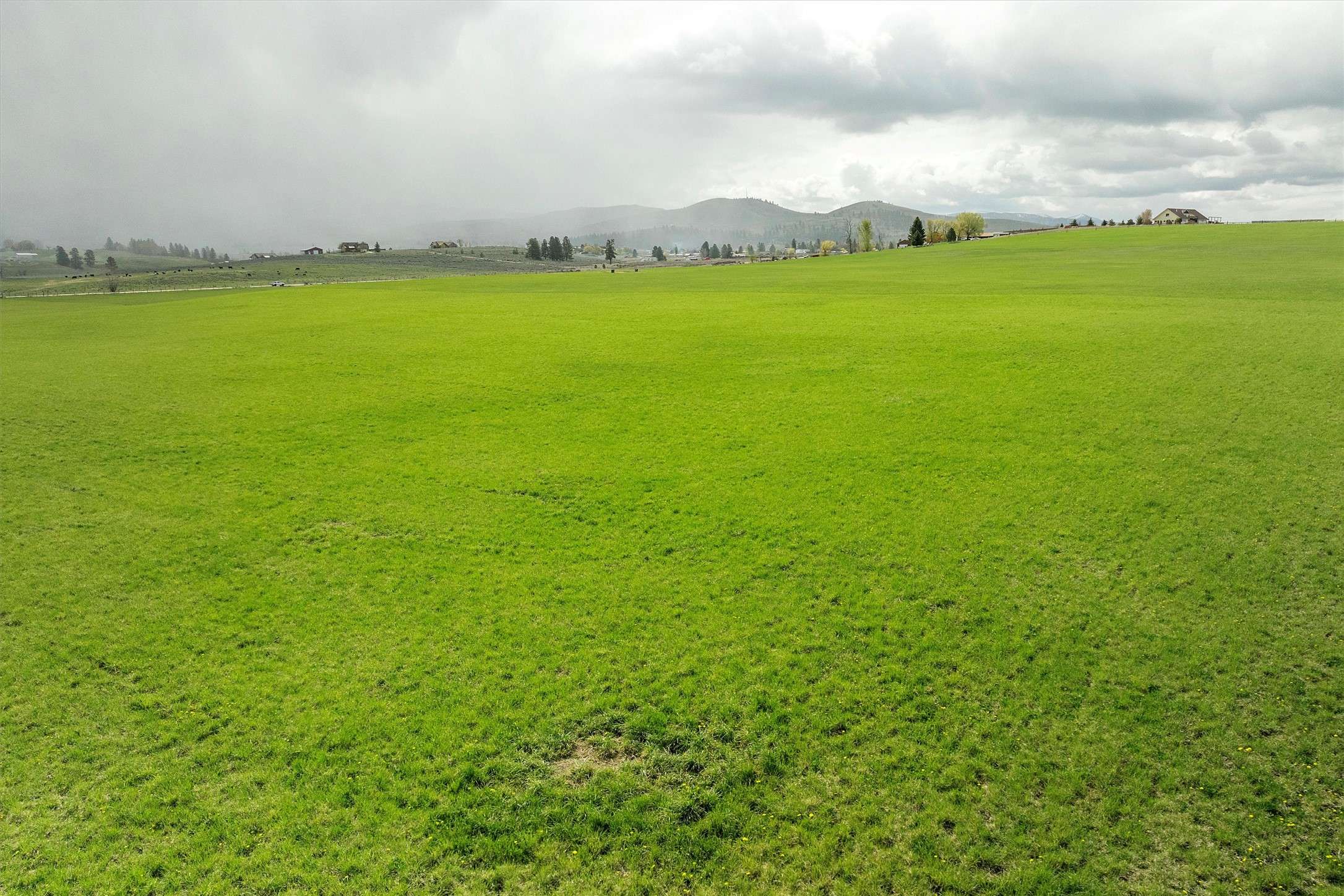 Stevensville, MT 59870,4283 Burro LN