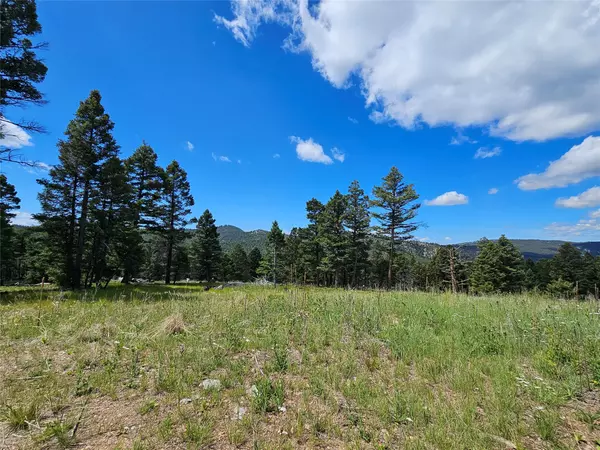 NHN Hoover Creek OSI-73 RD, Helmville, MT 59843