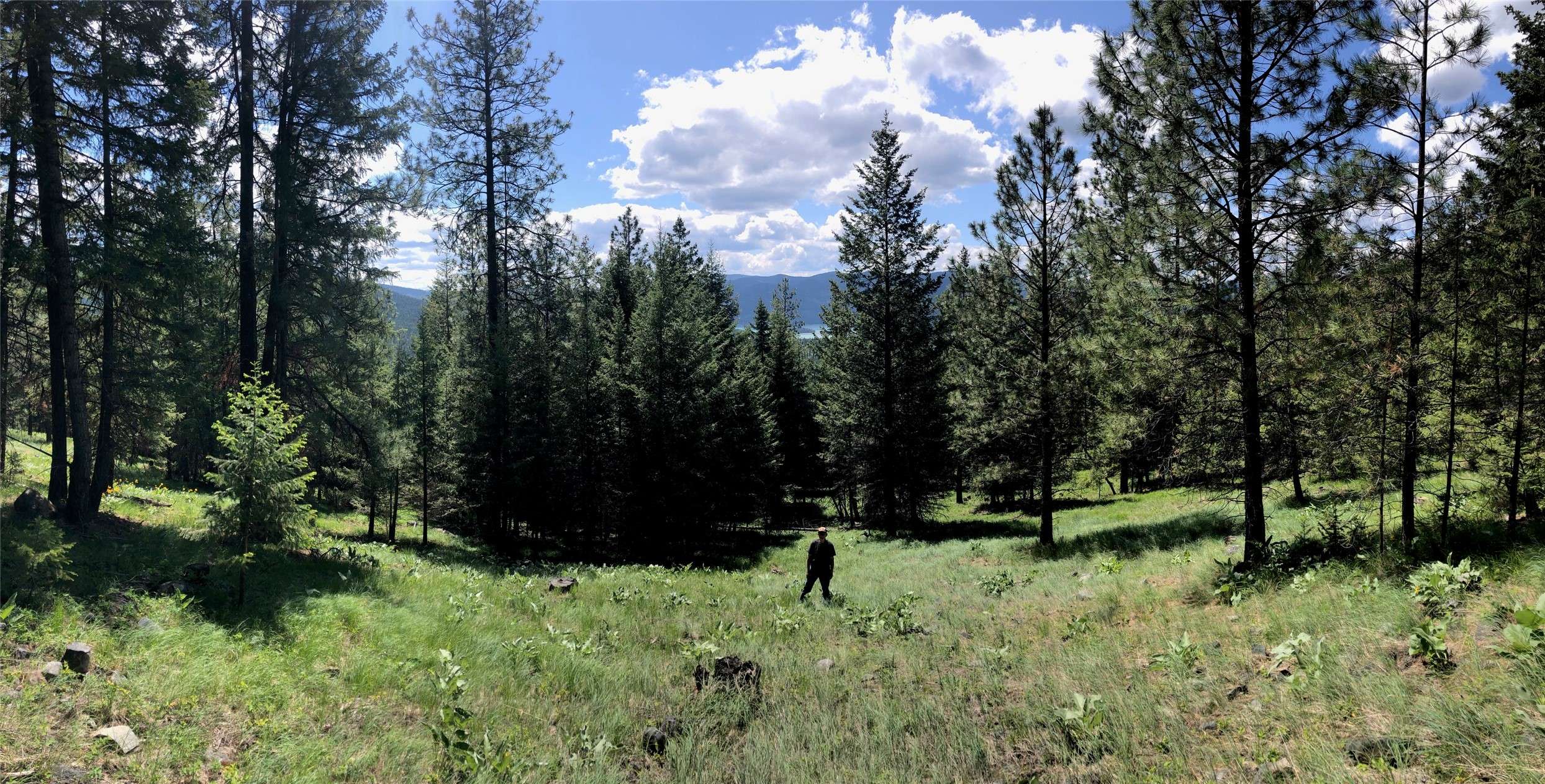 Libby, MT 59923,1 Cripple Horse Creek RD