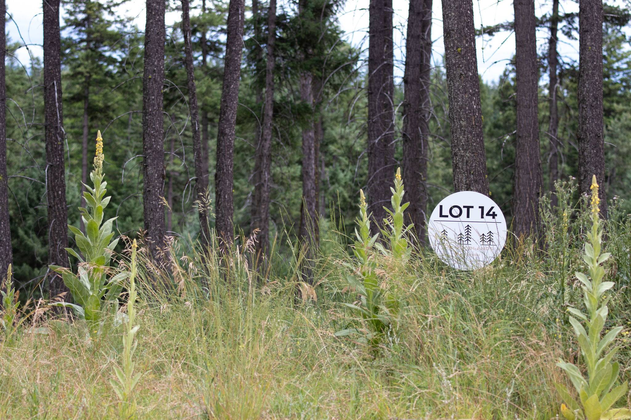 Whitefish, MT 59937,185 Rosewood LN #Lot 14