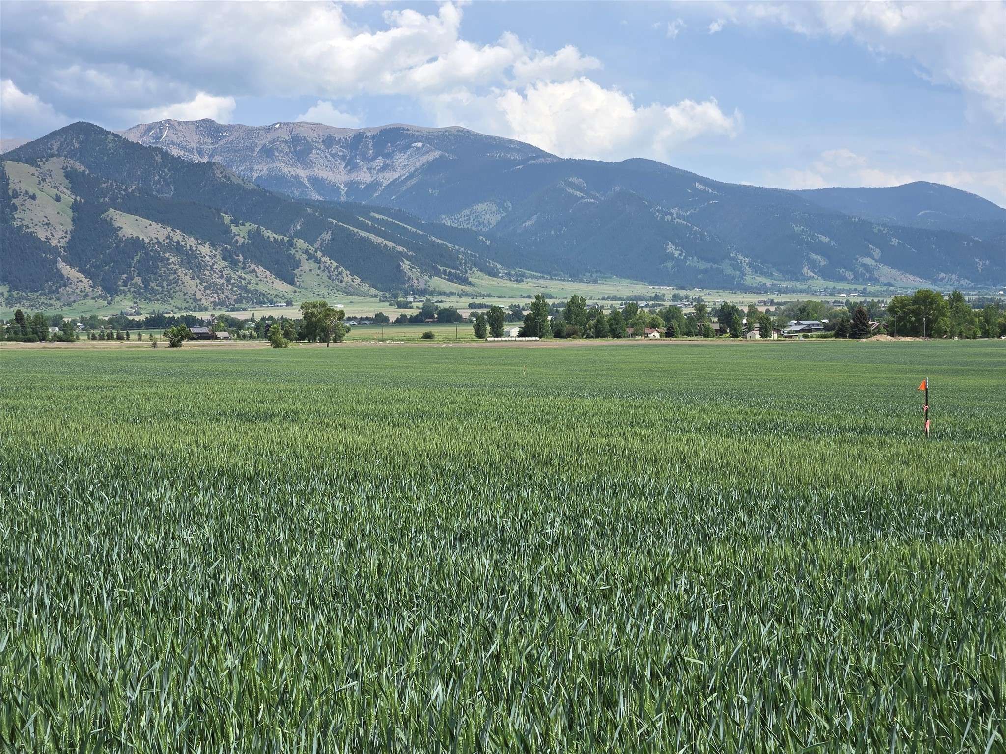 Lot 3 Penwell Bridge RD, Belgrade, MT 59714