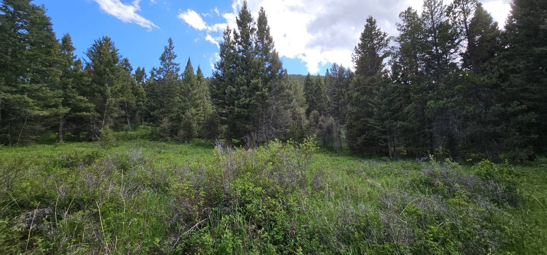 11 Tract, Hall Creek, Helmville, MT 59843