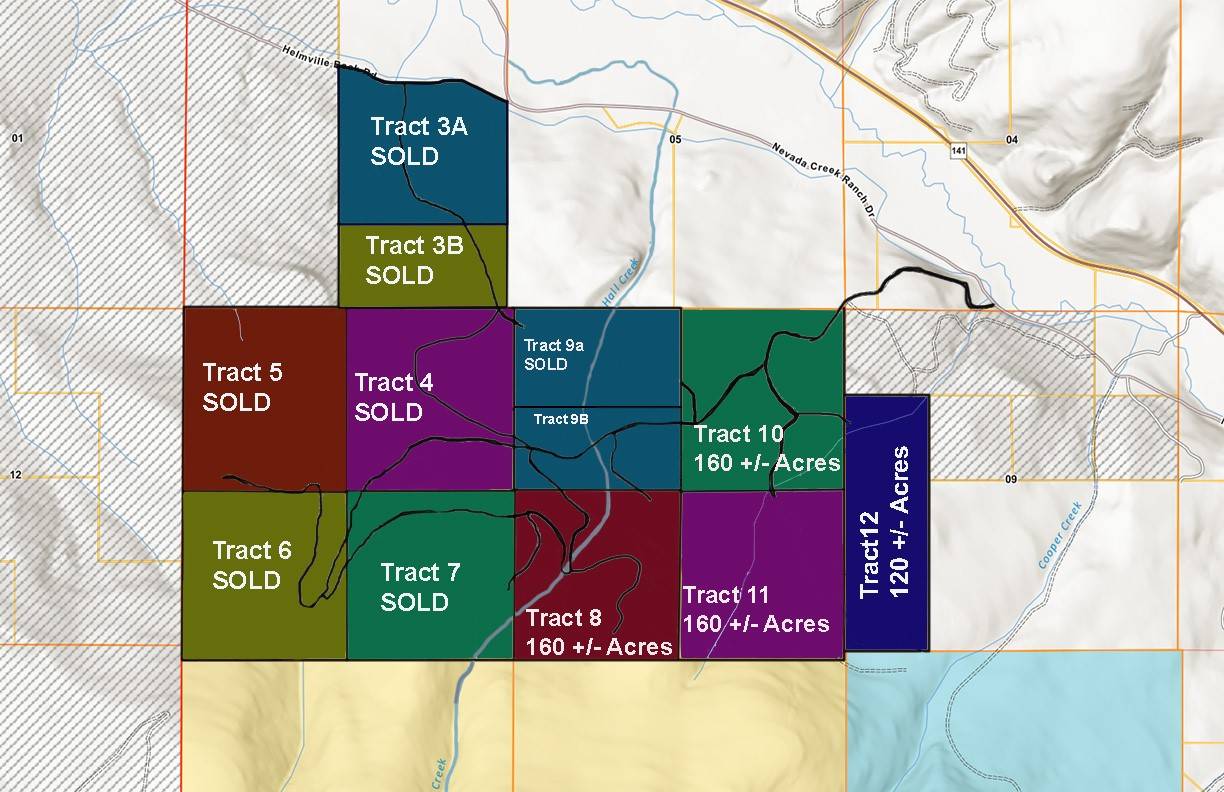 Helmville, MT 59843,8 Tract, Hall Creek