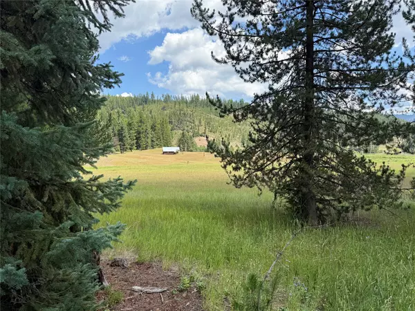 Libby, MT 59923,TBD Lot12 Schrieber Lake Subdivision