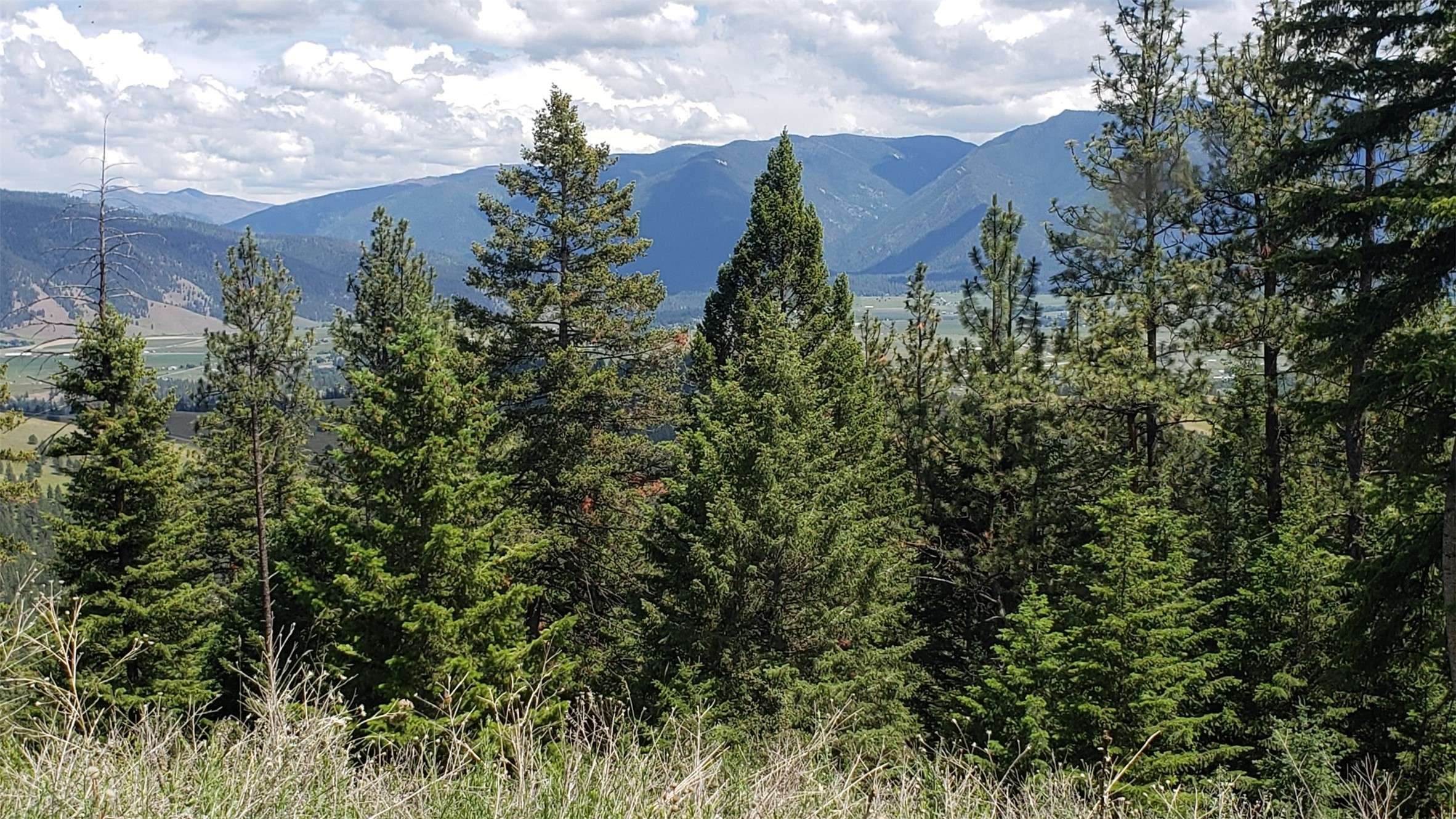 Lot 20 Arlee Pines, Arlee, MT 59821