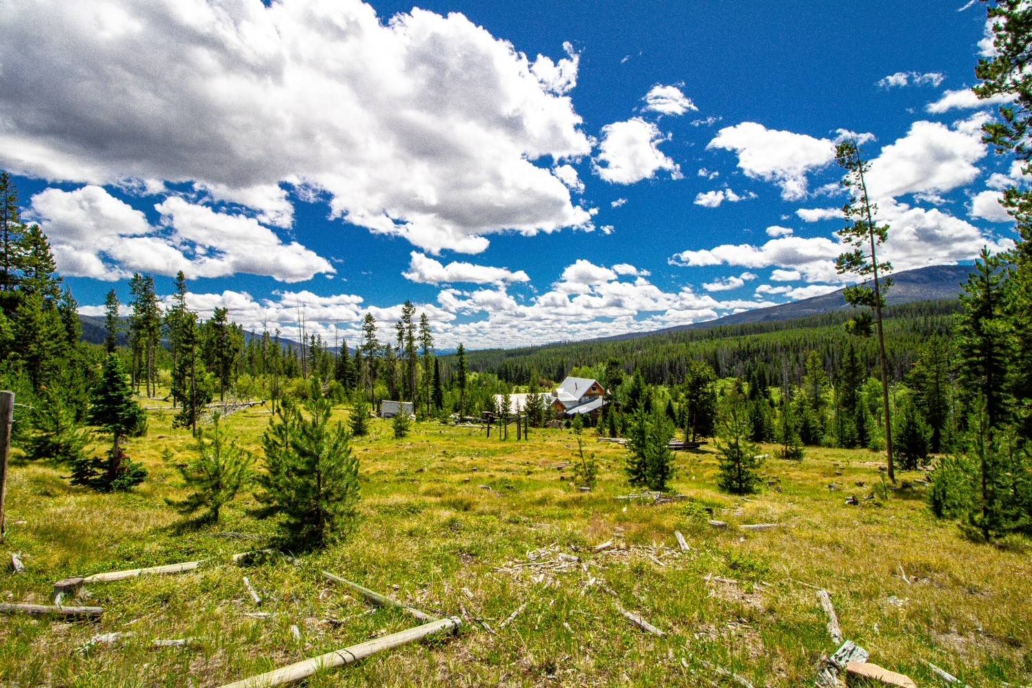 1215 Willow Creek RD, Philipsburg, MT 59858