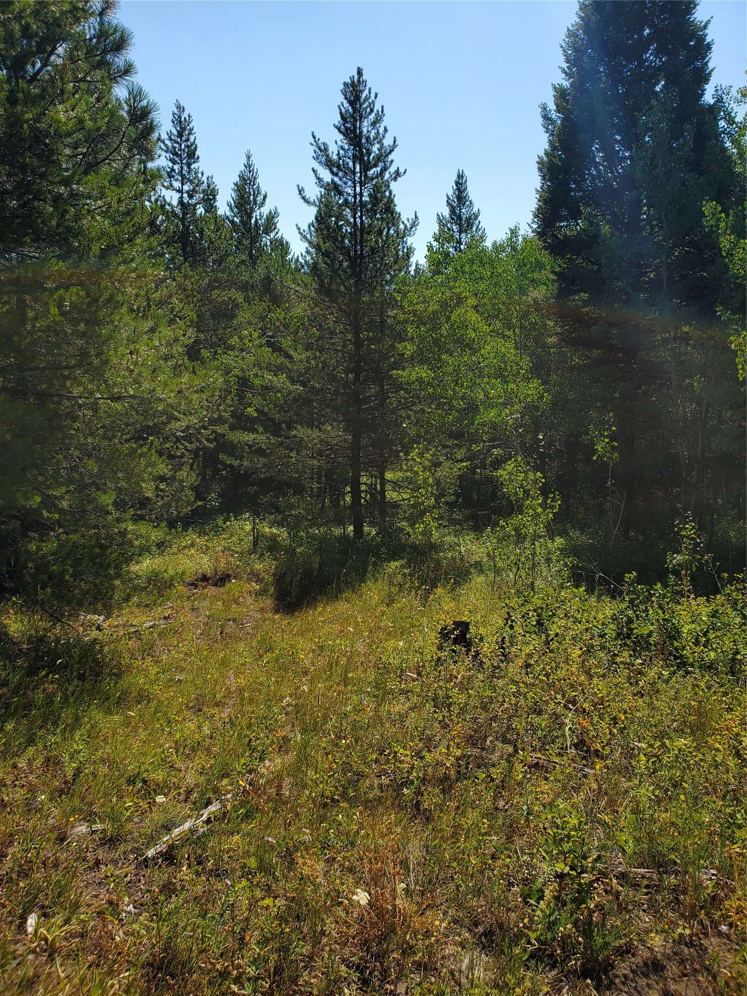 Lincoln, MT 59639,no known 2 Bear Springs RD