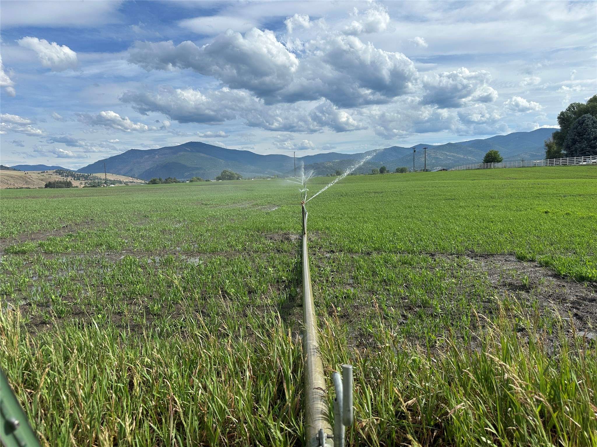 nhn Lower Lynch Creek RD, Plains, MT 59859