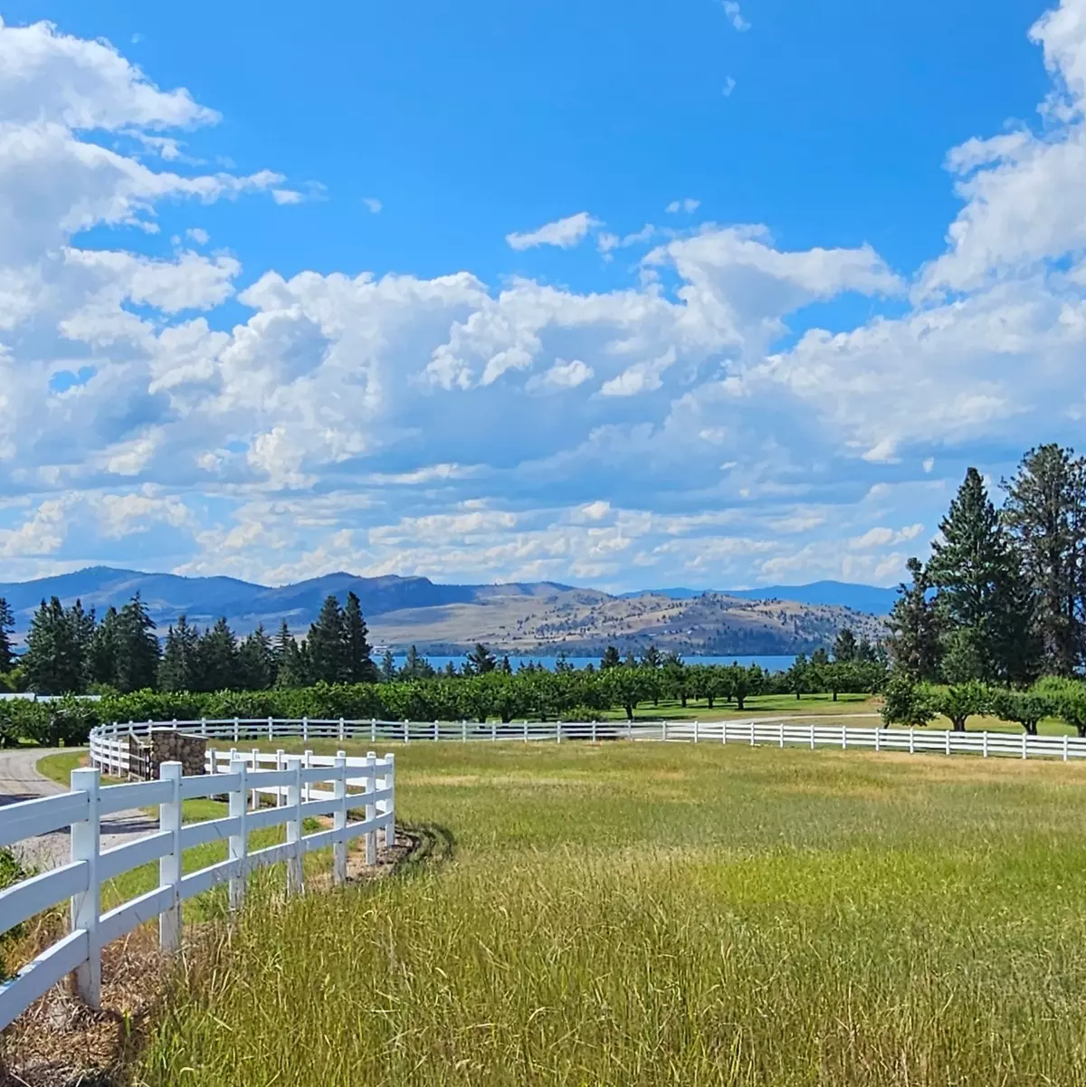 Polson, MT 59860,39784 US Hwy 93