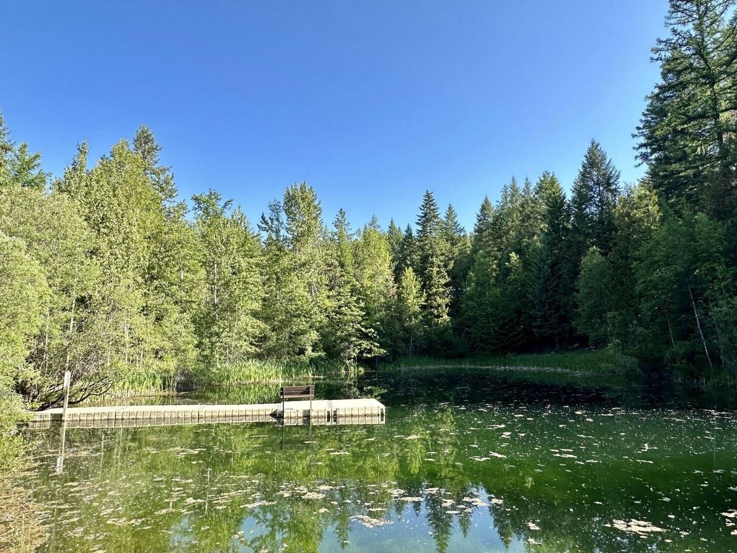 45 Alder WAY #3C, Whitefish, MT 59937