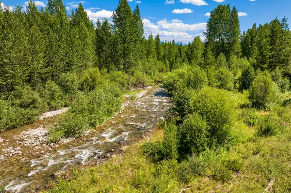 Polebridge, MT 59928,11680 North Fork RD