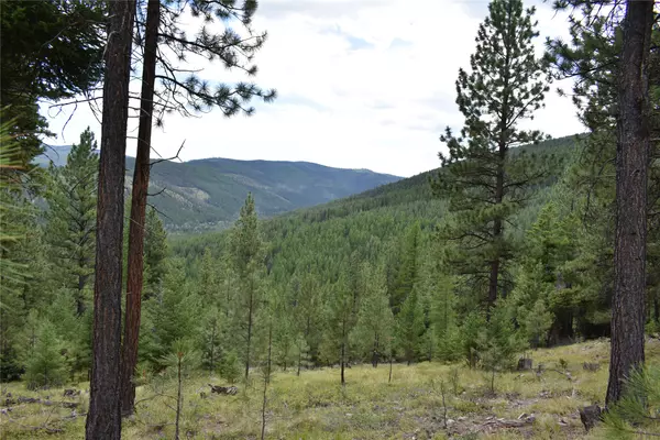 NHN Wild Bill RD, Kila, MT 59920