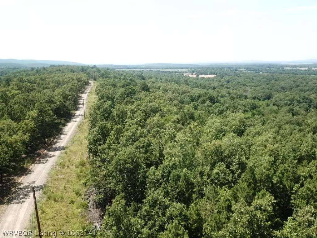 Heavener, OK 74937,TBD Merle Branch LN