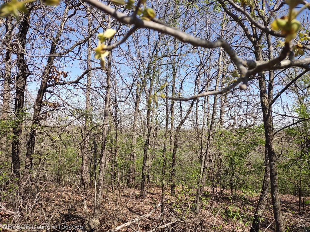 TBD Mowdy RD, Coalgate, OK 74538