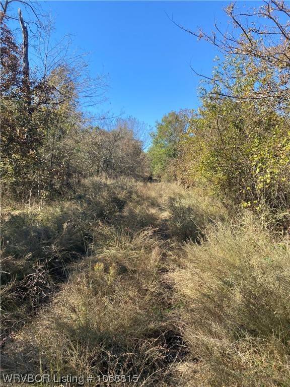 Tract 5 TBD Highway 63, Blanco, OK 74528