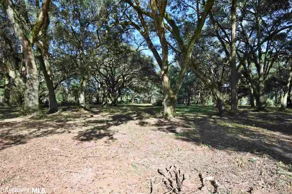 Fairhope, AL 36532,0 Mandrell Lane