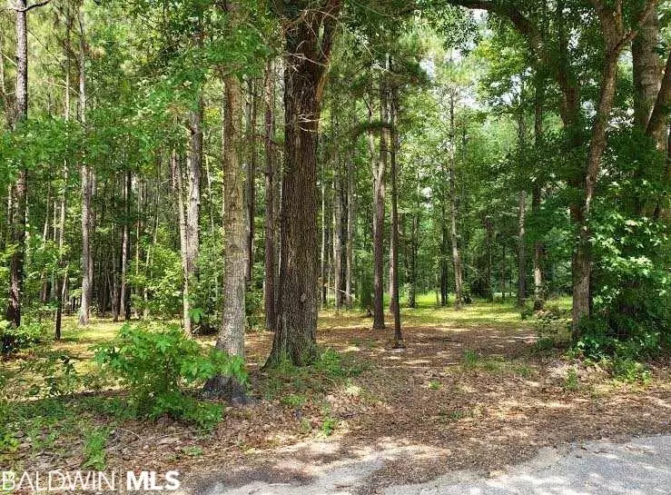 0 Dailey Street, Brewton, AL 36426