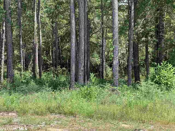 Bay Minette, AL 36507,Lot #132 Cramblitt Lane