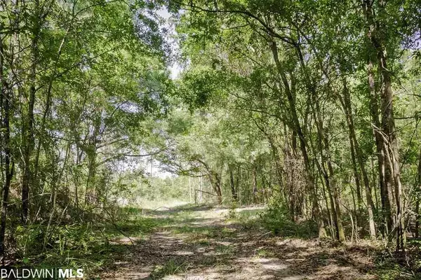 Bay Minette, AL 36507,000 Anglers Trail